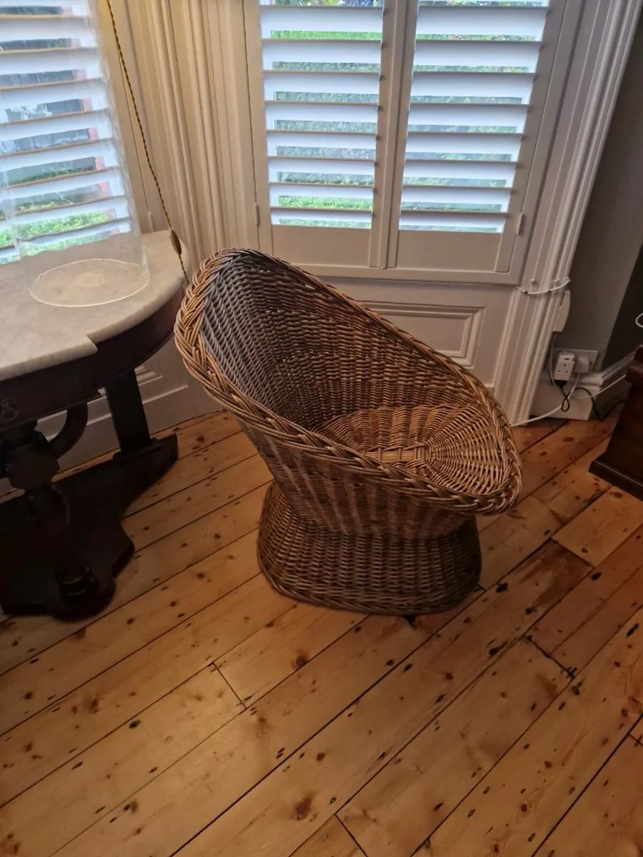 Wicker pod chair - Image 1