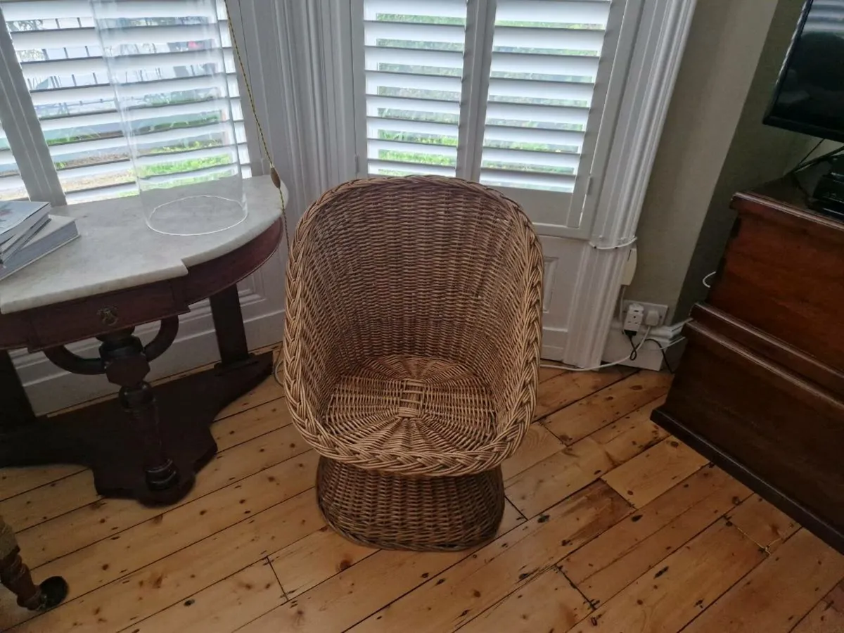 Wicker pod chair - Image 3