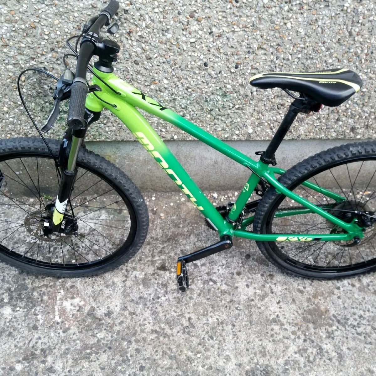Mountain bike - Image 1