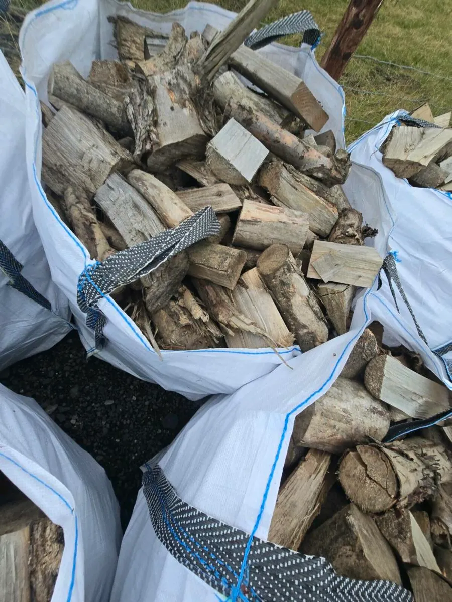 Firewood - Image 1