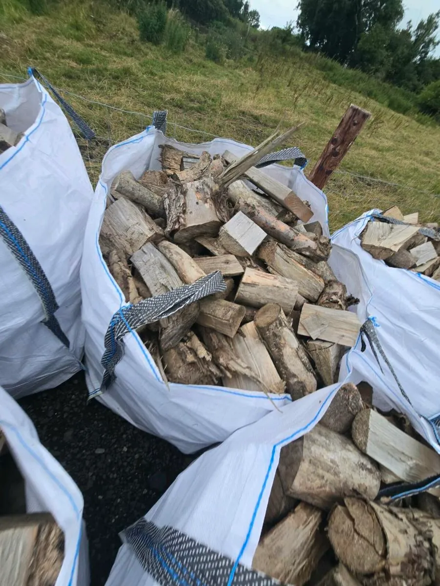 Firewood - Image 2