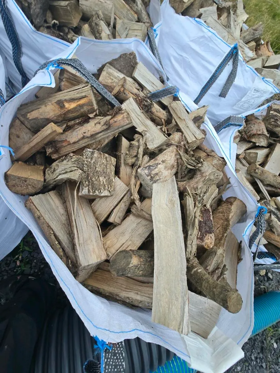 Firewood - Image 3