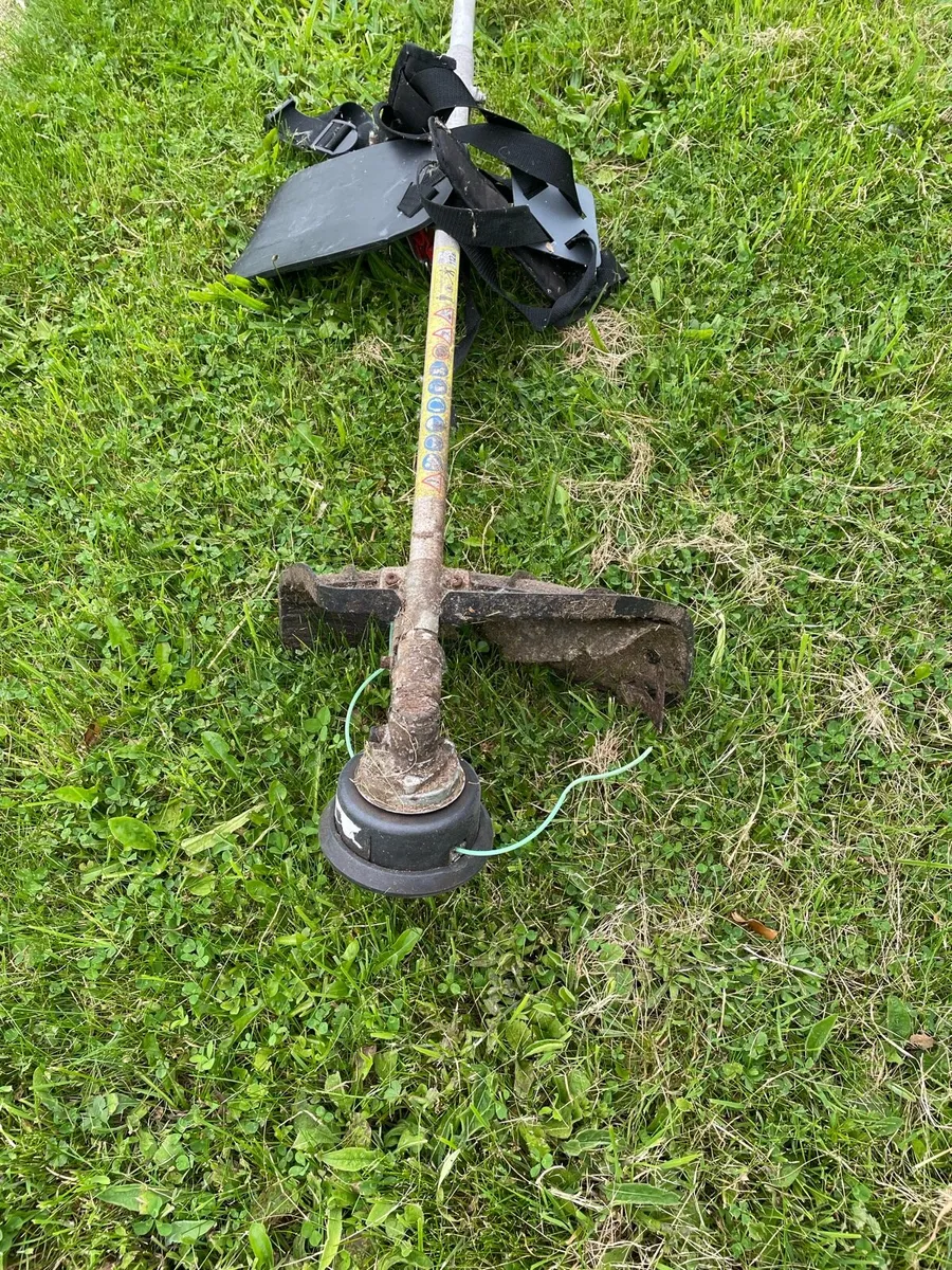 Parkside strimmer - Image 3