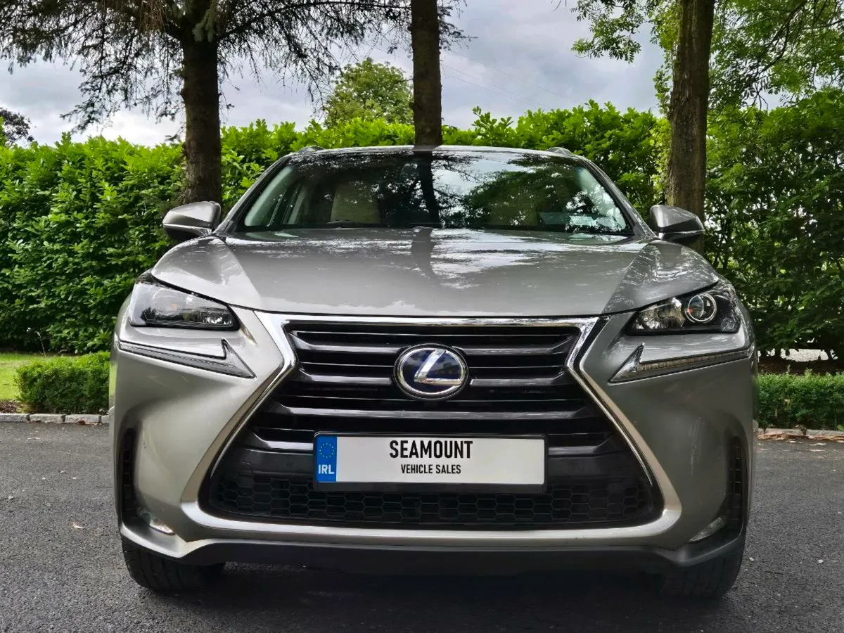 2016 Lexus NX300h - Full Lexus Service History - Image 4
