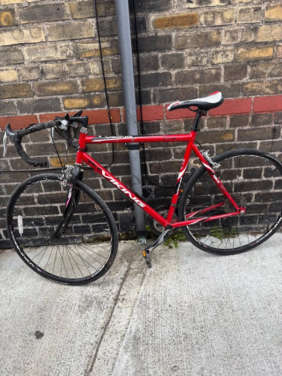 Bicycle racer Viking