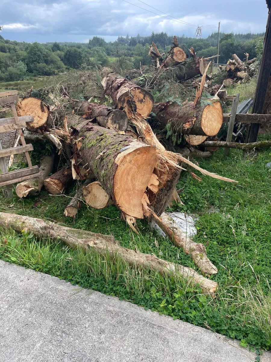 Firewood Lengths - Image 1
