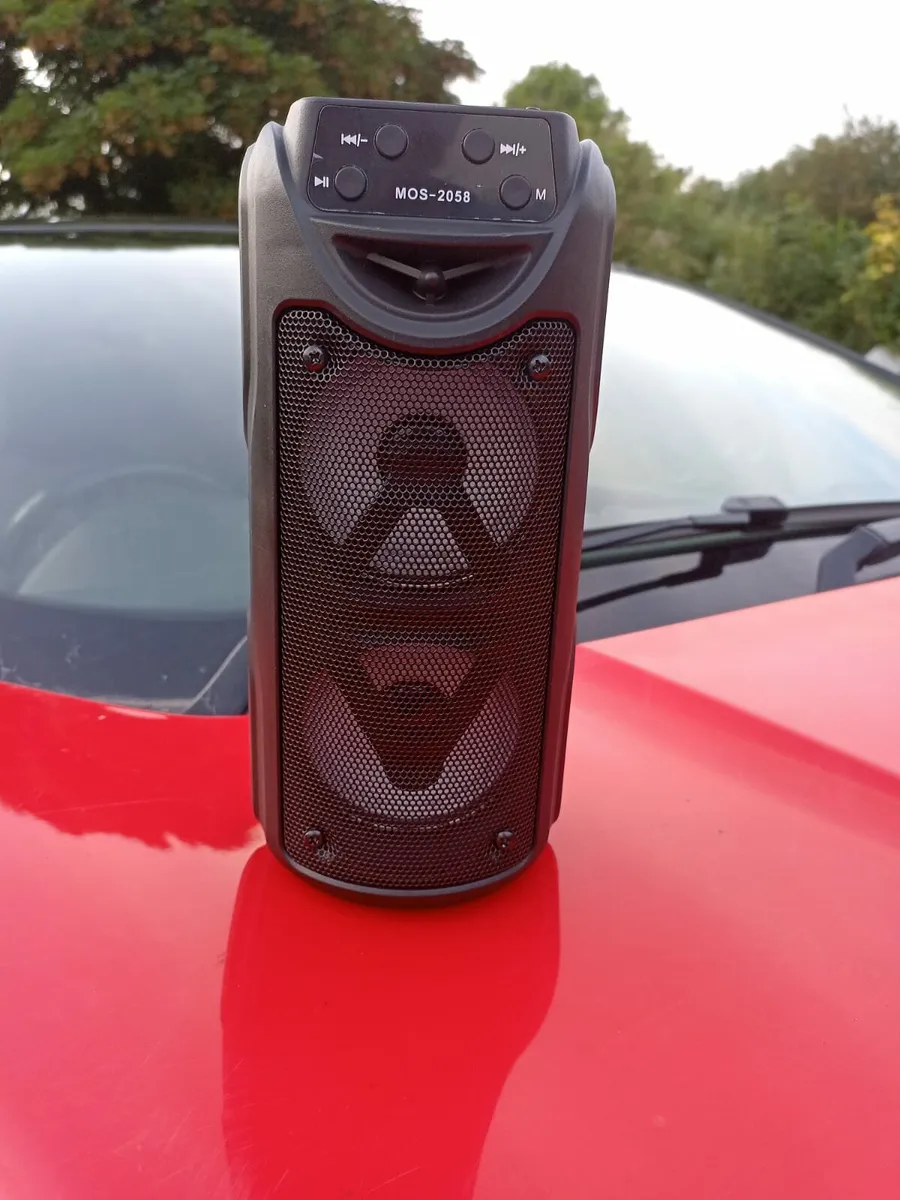 Party speaker