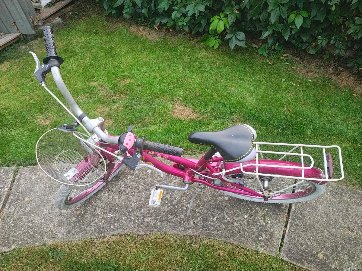 Push bikes - Image 1