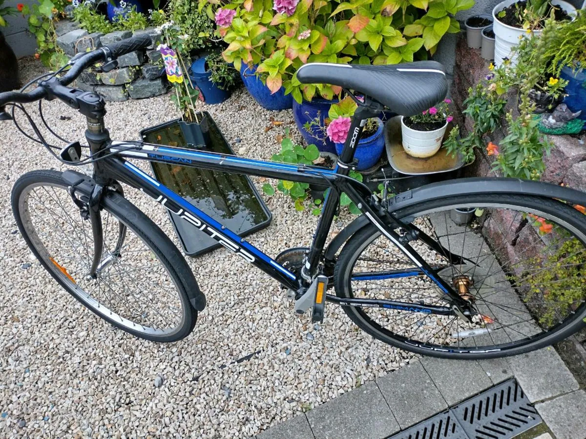 Bike - Image 3