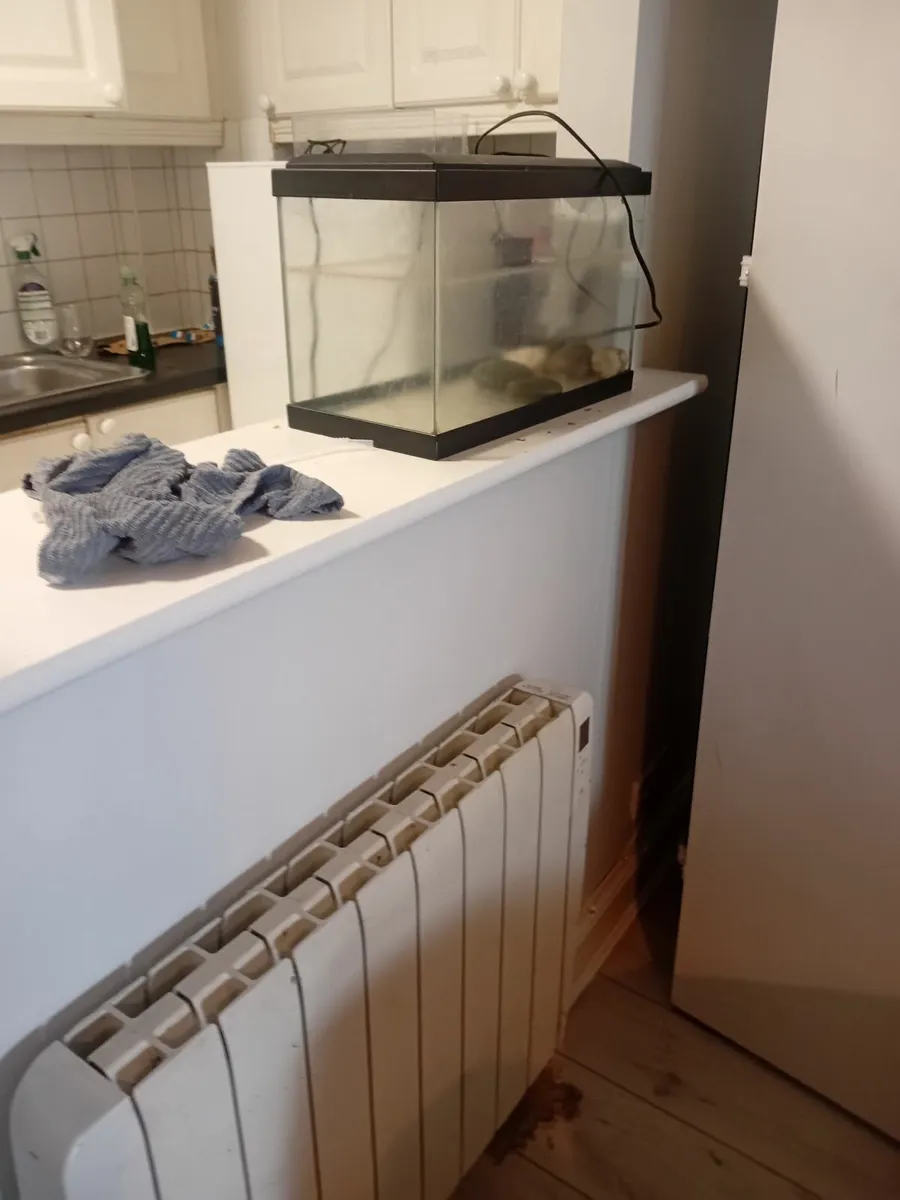 Fish tank