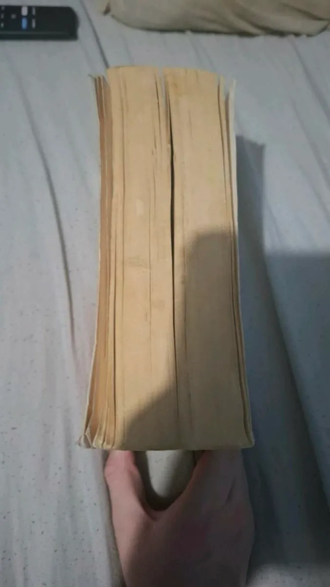Mein Kampf - Image 3
