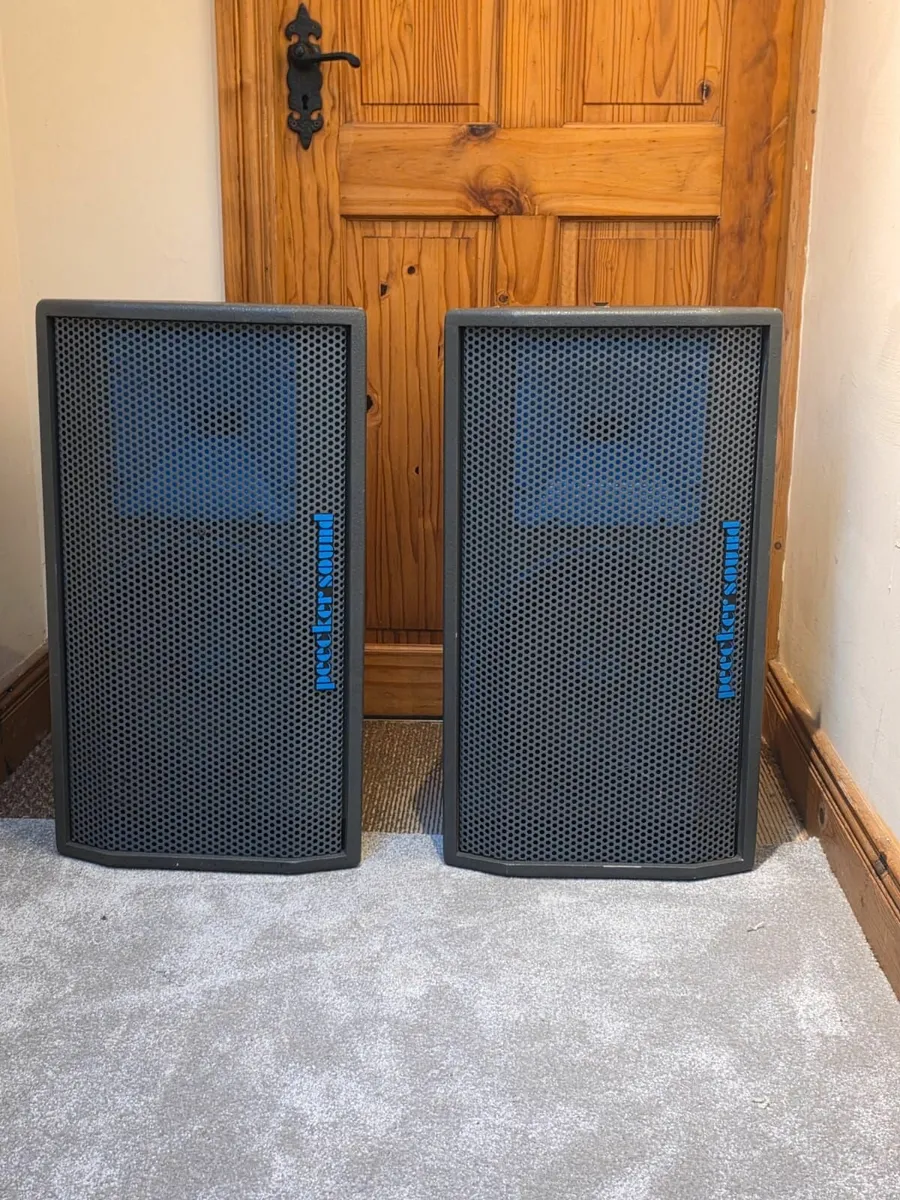 club speakers  professional - Image 2