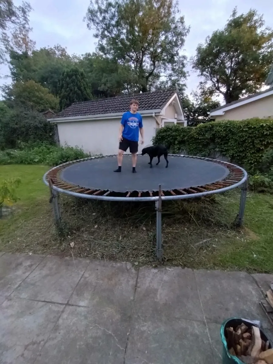 Trampoline