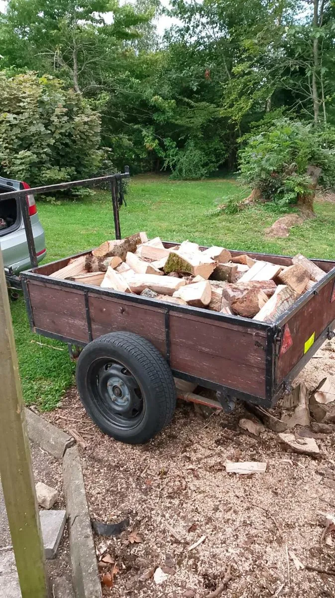 Timber - Image 3