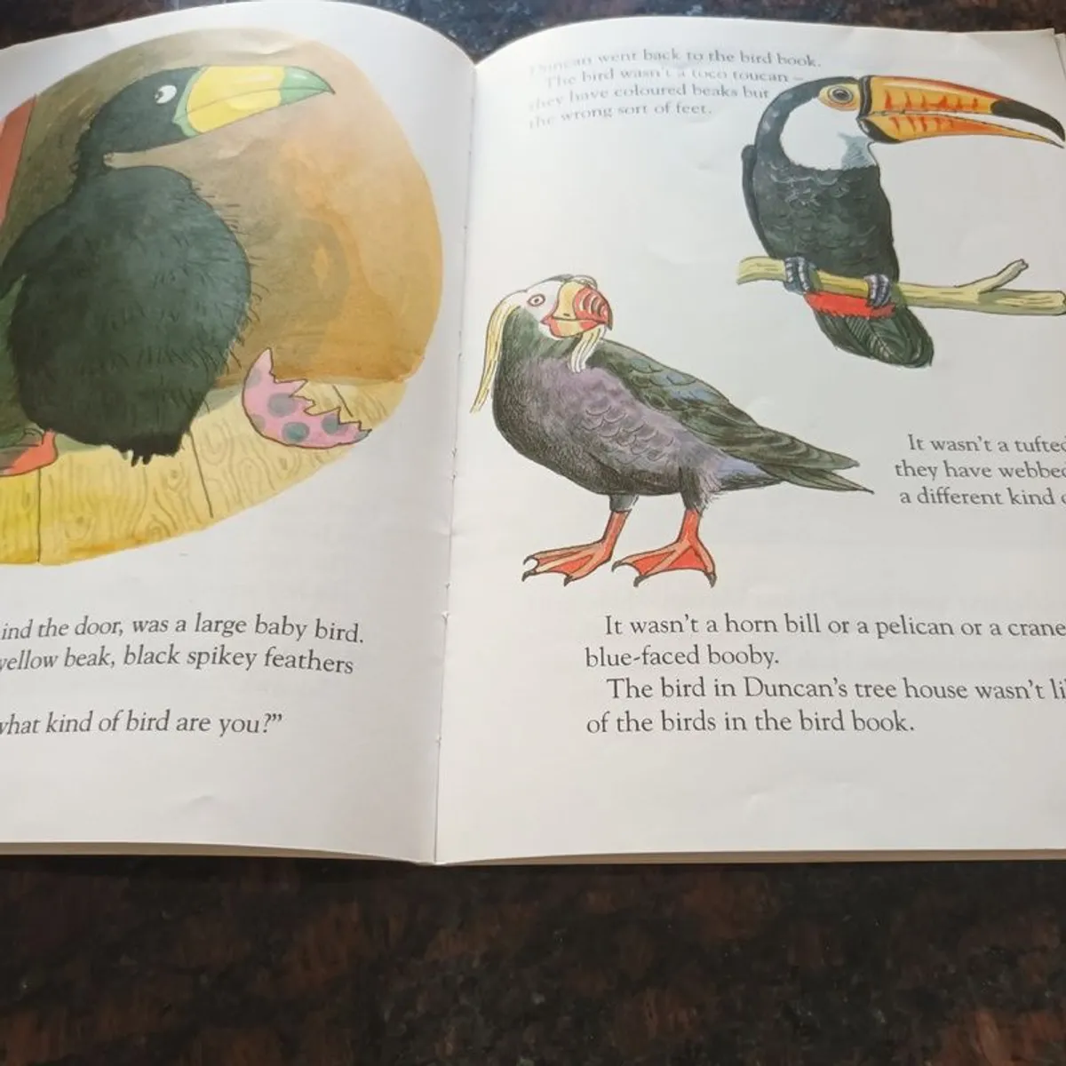 Duncan and the Bird - Image 3