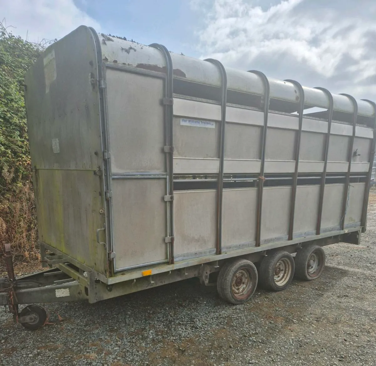 Ifor williams 14 x 6,6 cattle/sheep trailer - Image 1