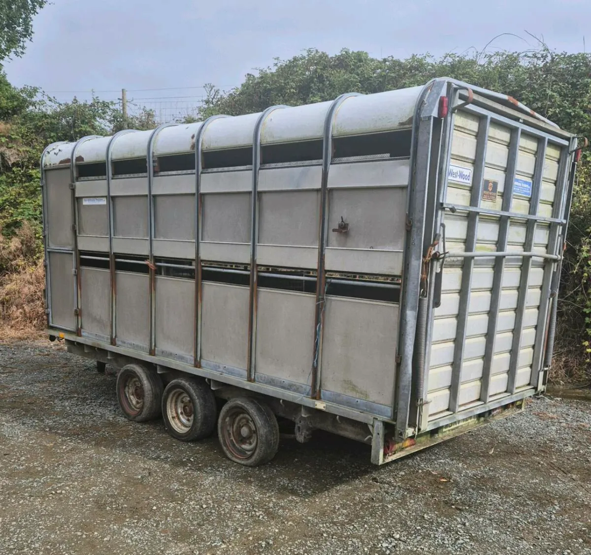 Ifor williams 14 x 6,6 cattle/sheep trailer - Image 2