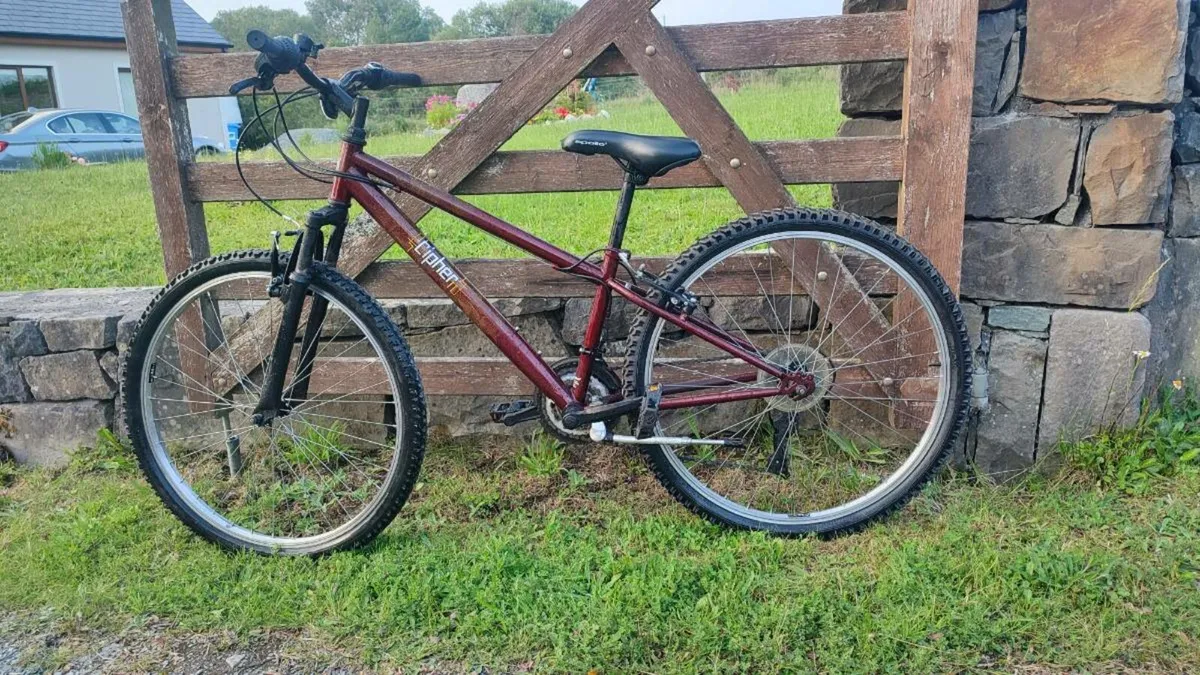 Mountain bike brand new bike - Image 1