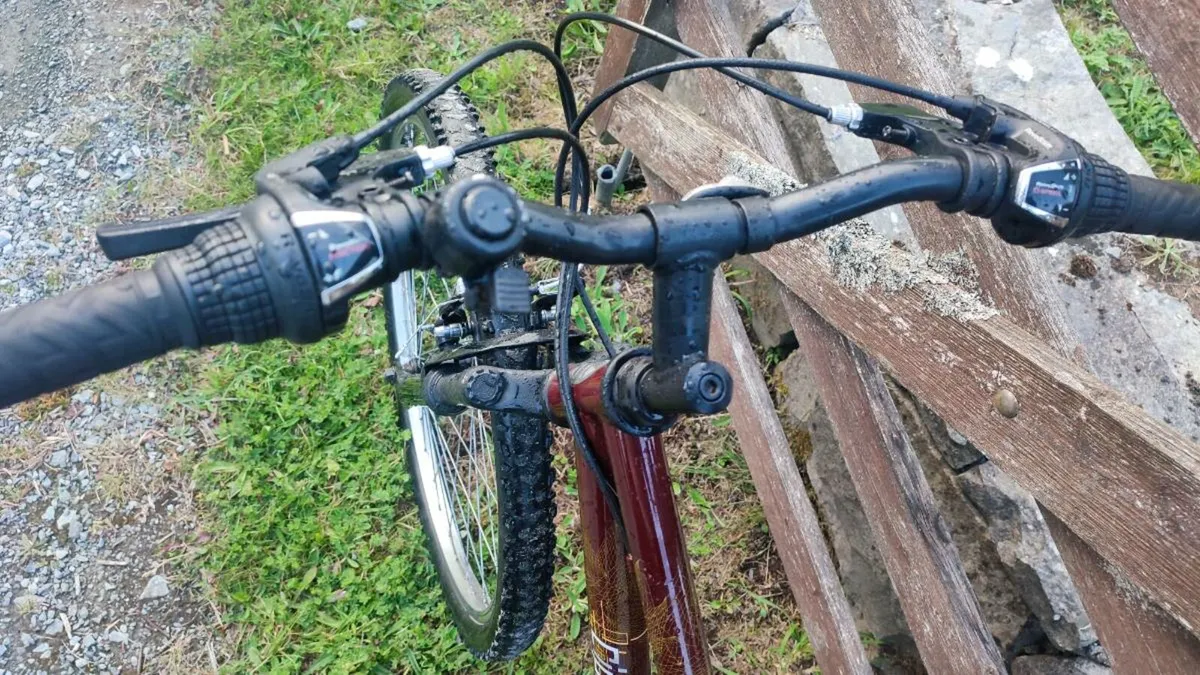 Mountain bike brand new bike - Image 2