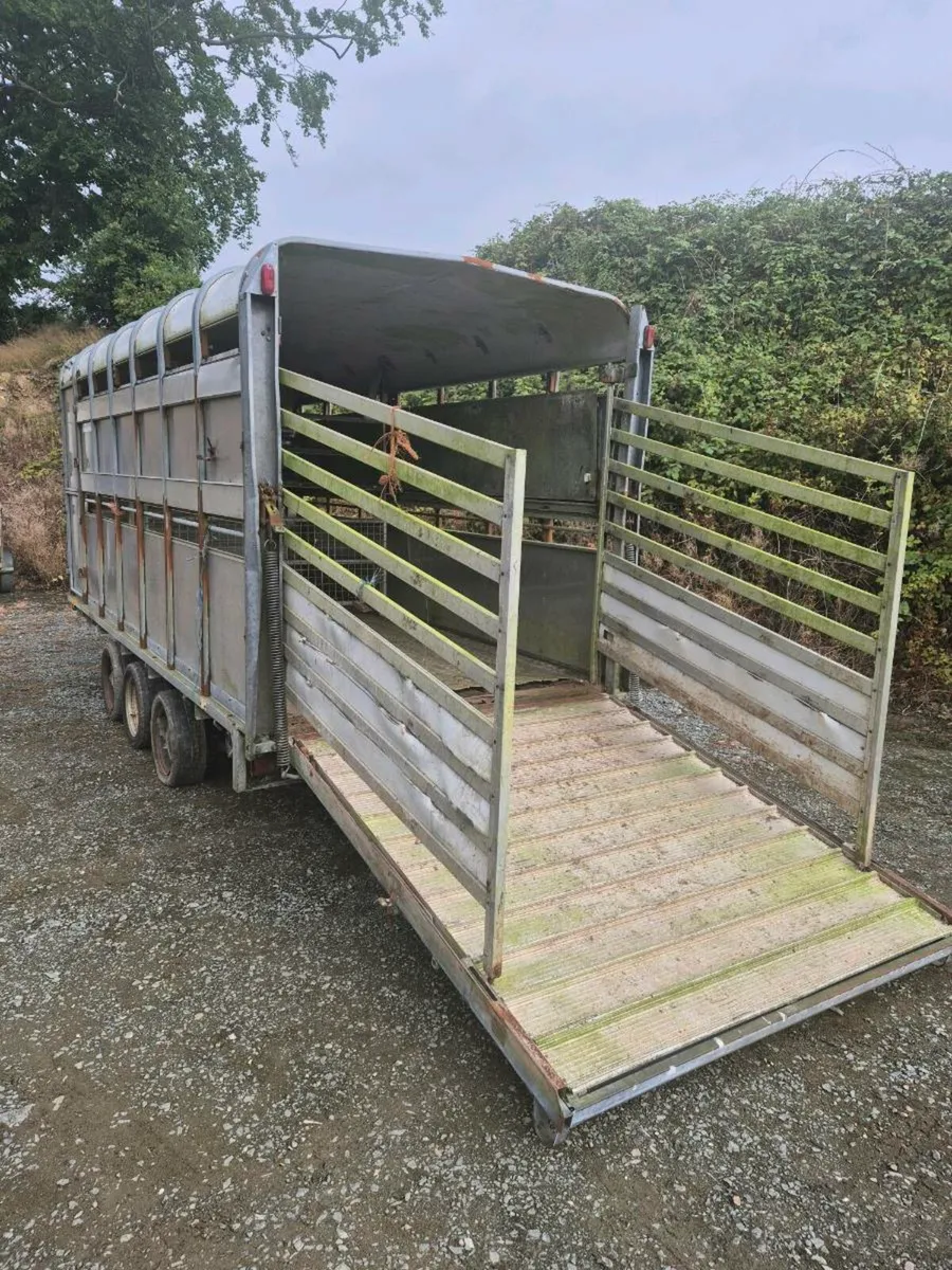 Ifor williams 14 x 6,6 cattle/sheep trailer - Image 3