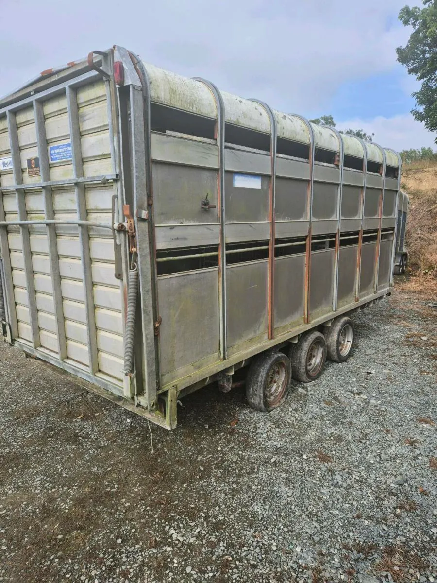Ifor williams 14 x 6,6 cattle/sheep trailer - Image 4