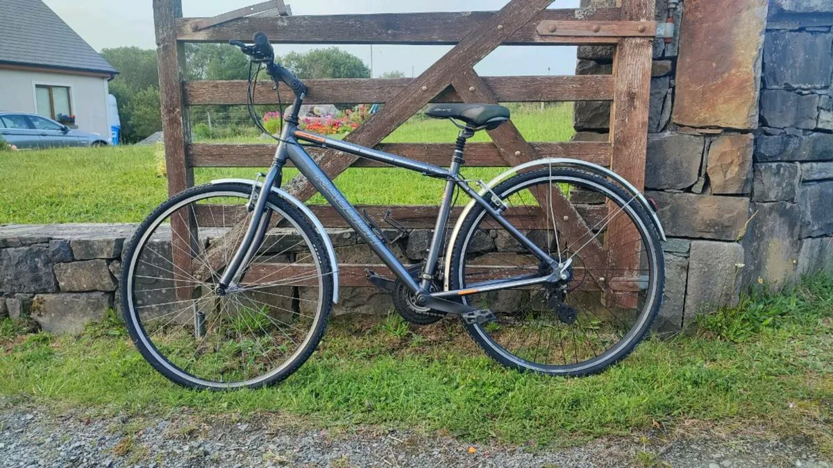 Raleigh Bicycle - Image 1