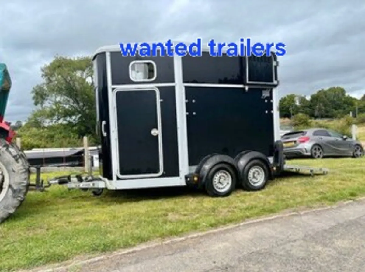 All horsebox and trailers wanted cash waiting