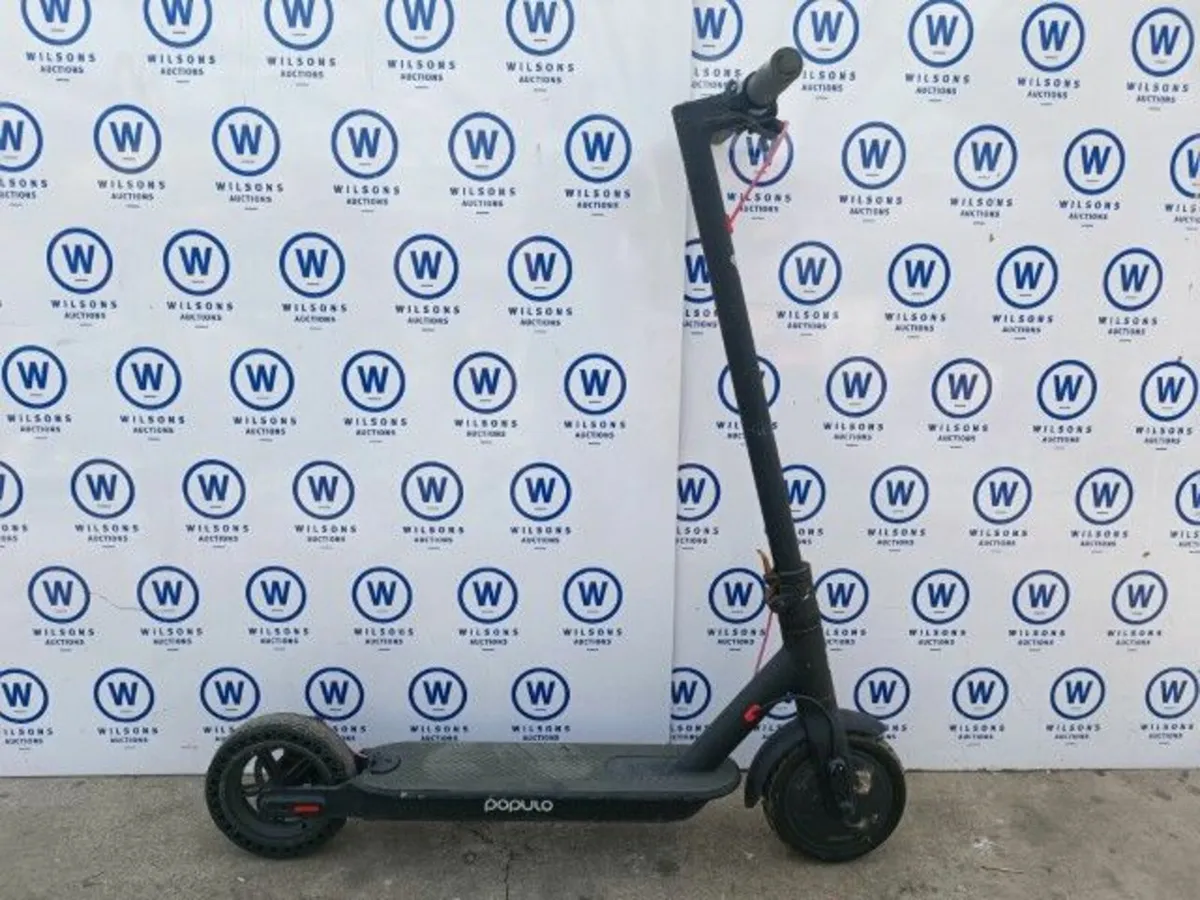 Online Auction Of A Populo Scooter & More! - Image 1