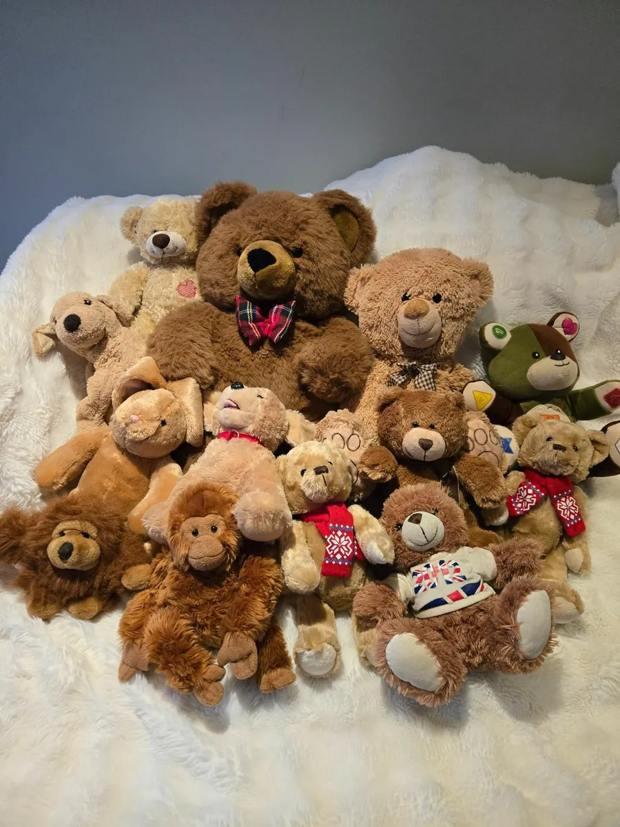 Teddy's and Stuffed Toys