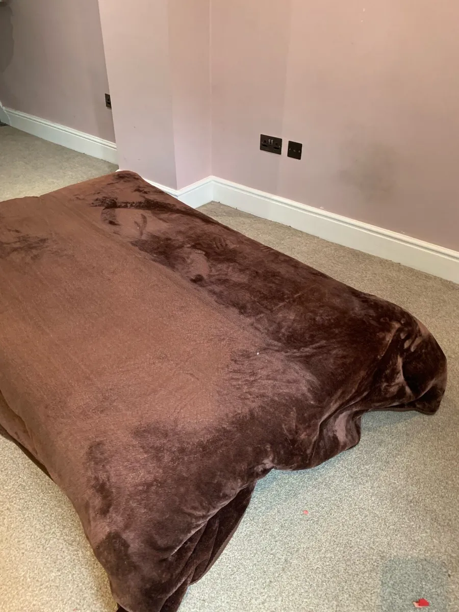 Couch - converts to bed - Image 1