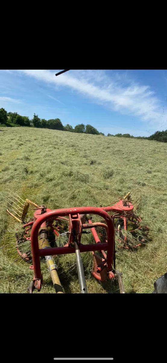 Square bales of Haylage and Hay, Excellent Quality - Image 2