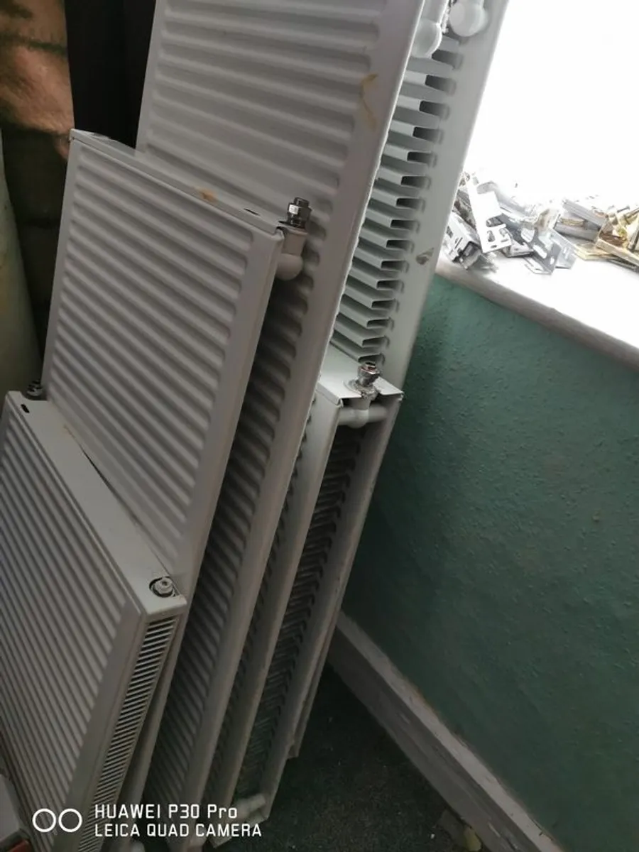 20KW Firebird Boiler - Image 3