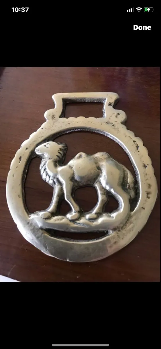Vintage Brass Camel Bottle Opener - Image 1
