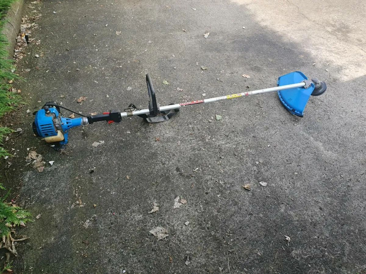 Gardiner strimmer - Image 1