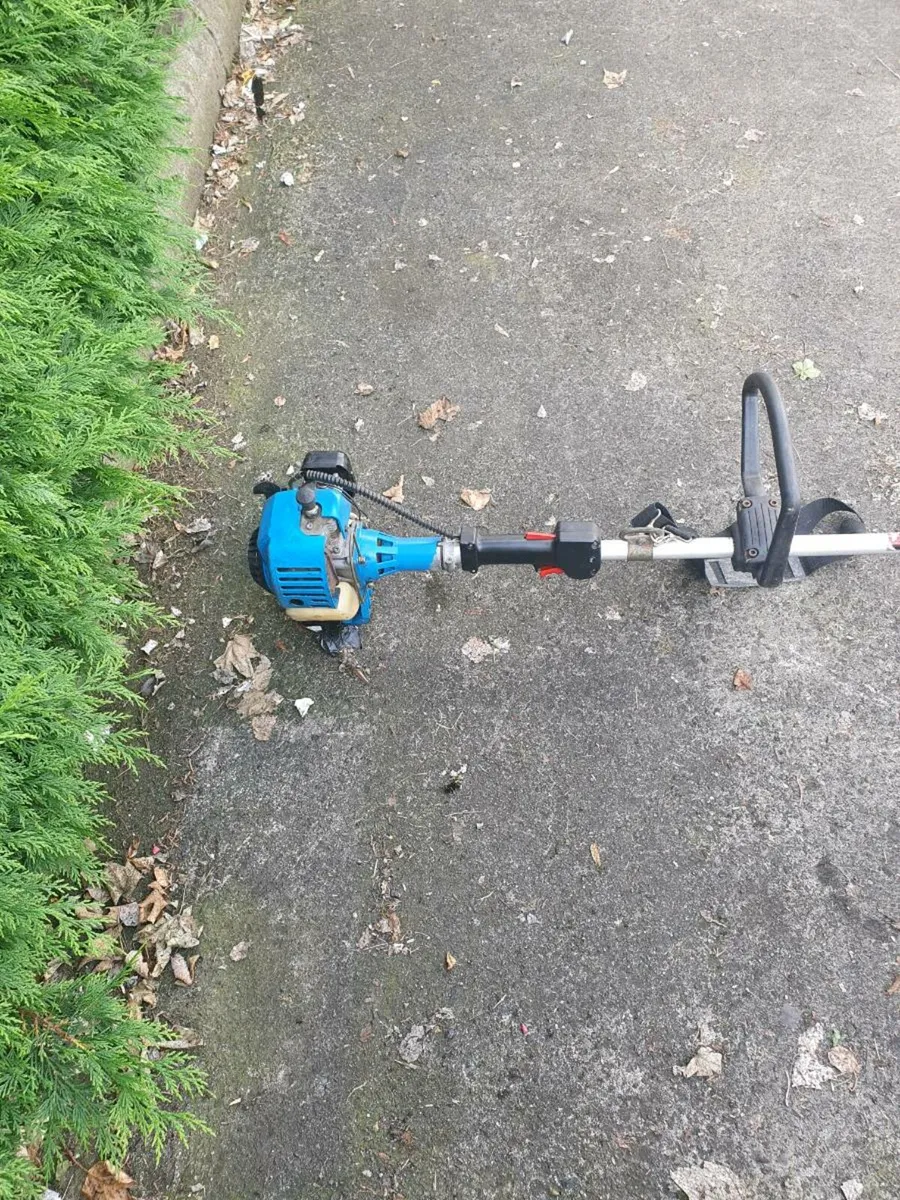 Gardiner strimmer - Image 2