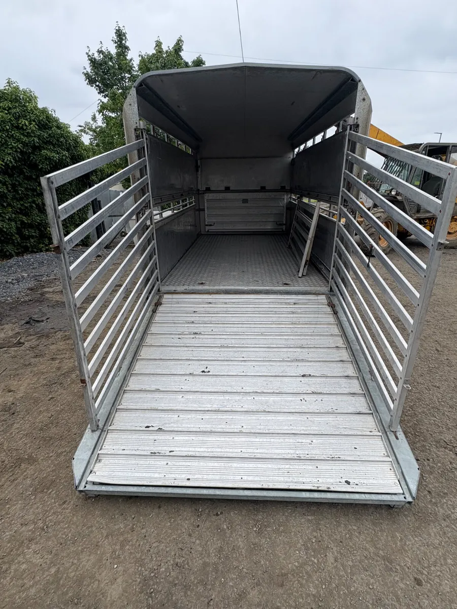 Ifor Williams DP120 12 cattle trailer - Image 2
