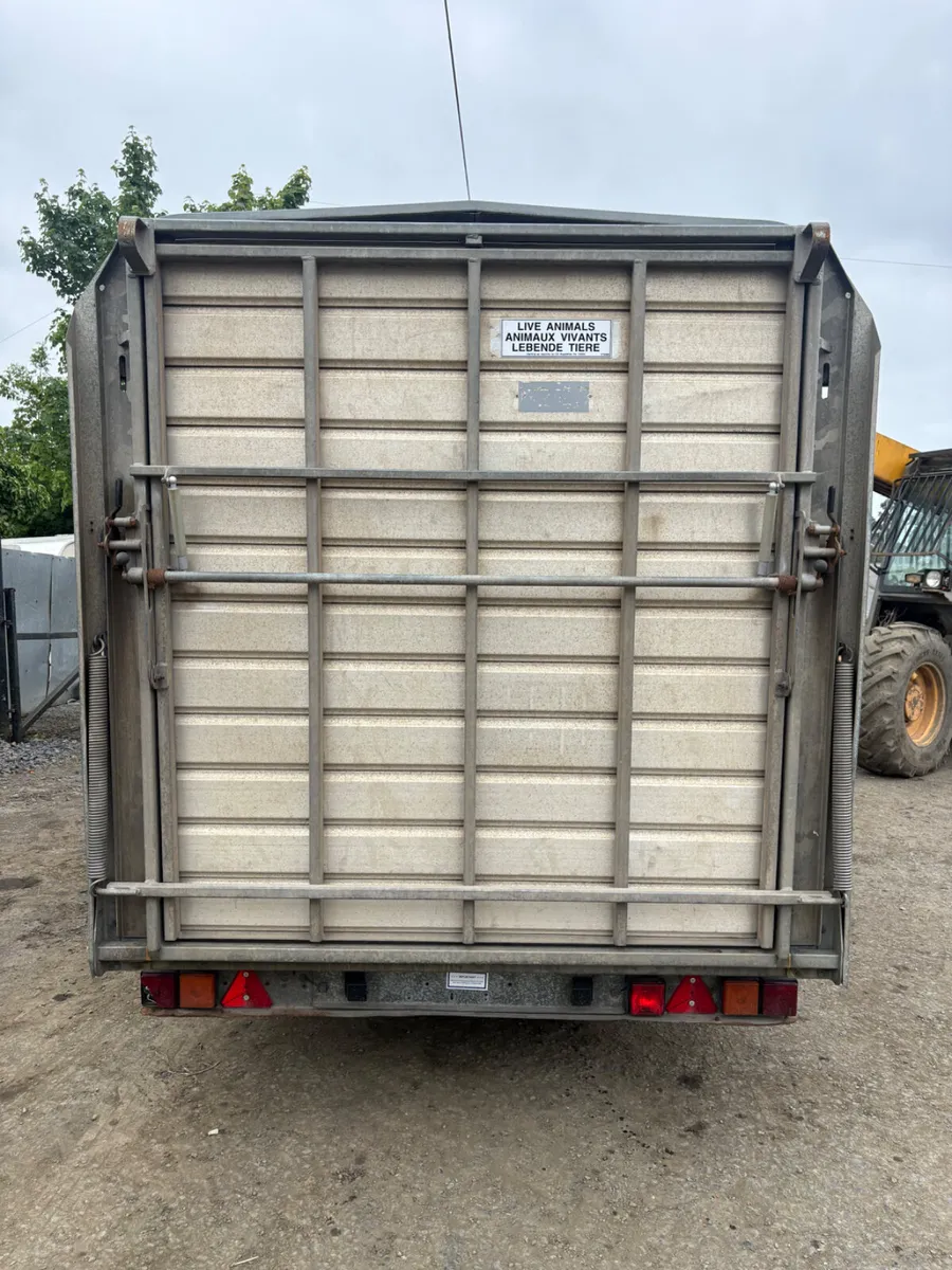 Ifor Williams DP120 12 cattle trailer - Image 3