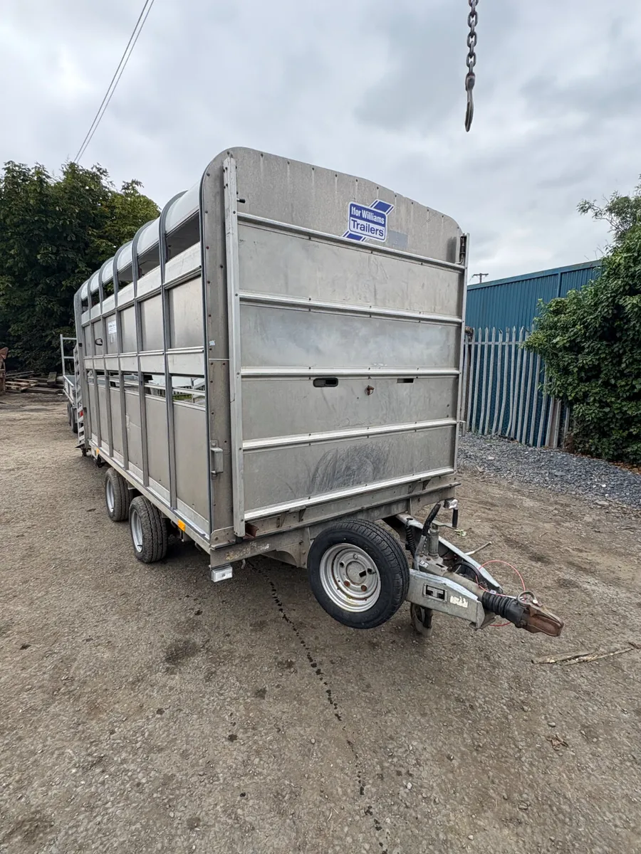 Ifor Williams DP120 12 cattle trailer - Image 1