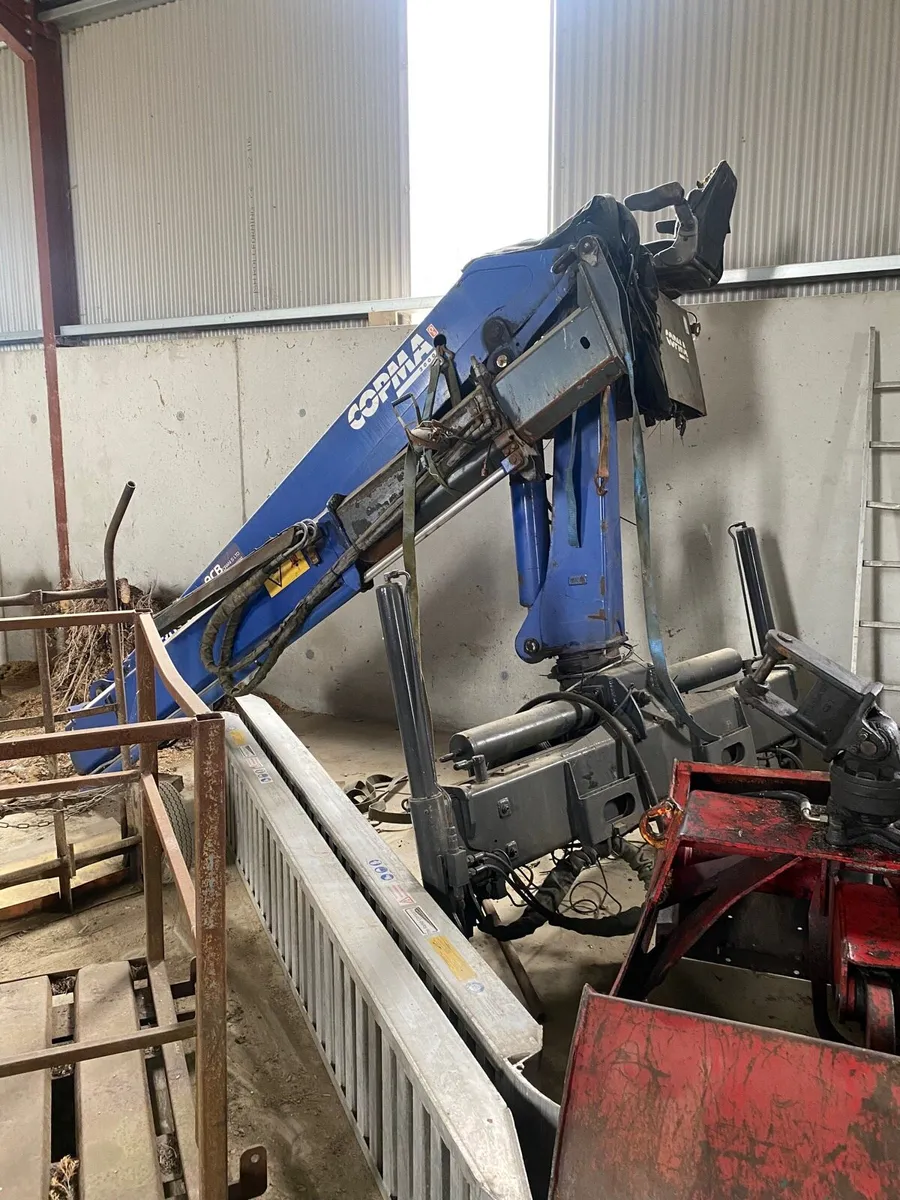 Copma crane - Image 1