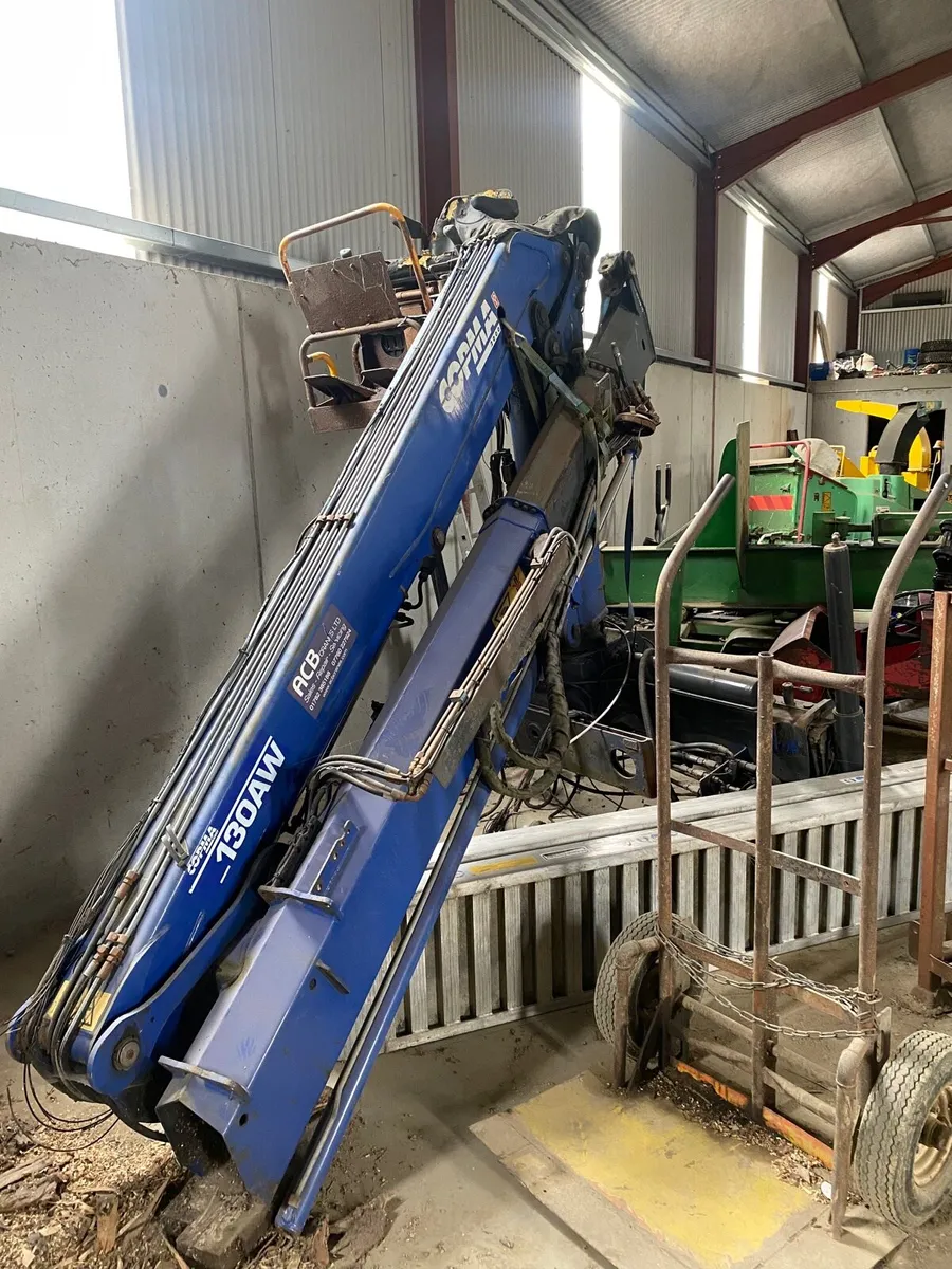 Copma crane - Image 2