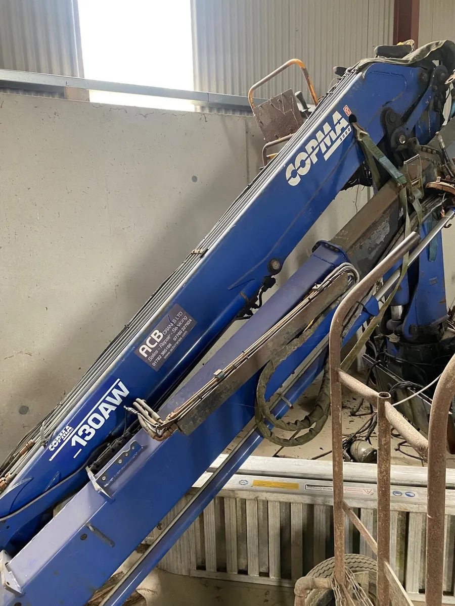 Copma crane - Image 4