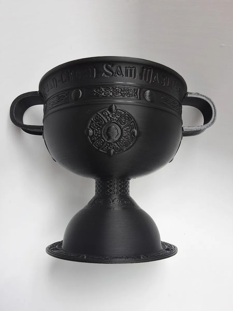 Bespoke Sam Maguire Trophy, GAA memorabilia - Image 4