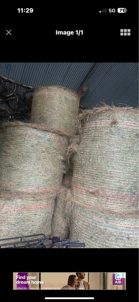 Hay for sale