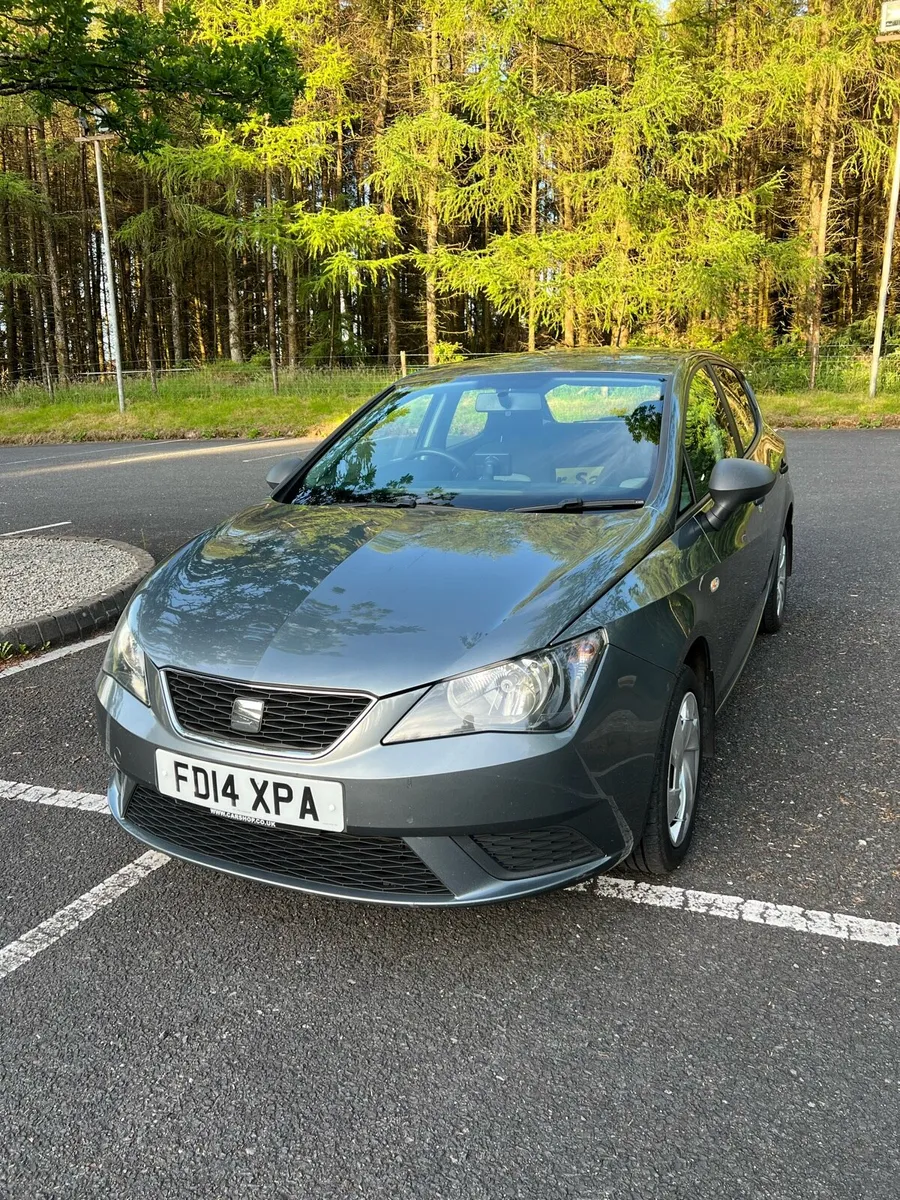 Seat Ibiza - Image 1