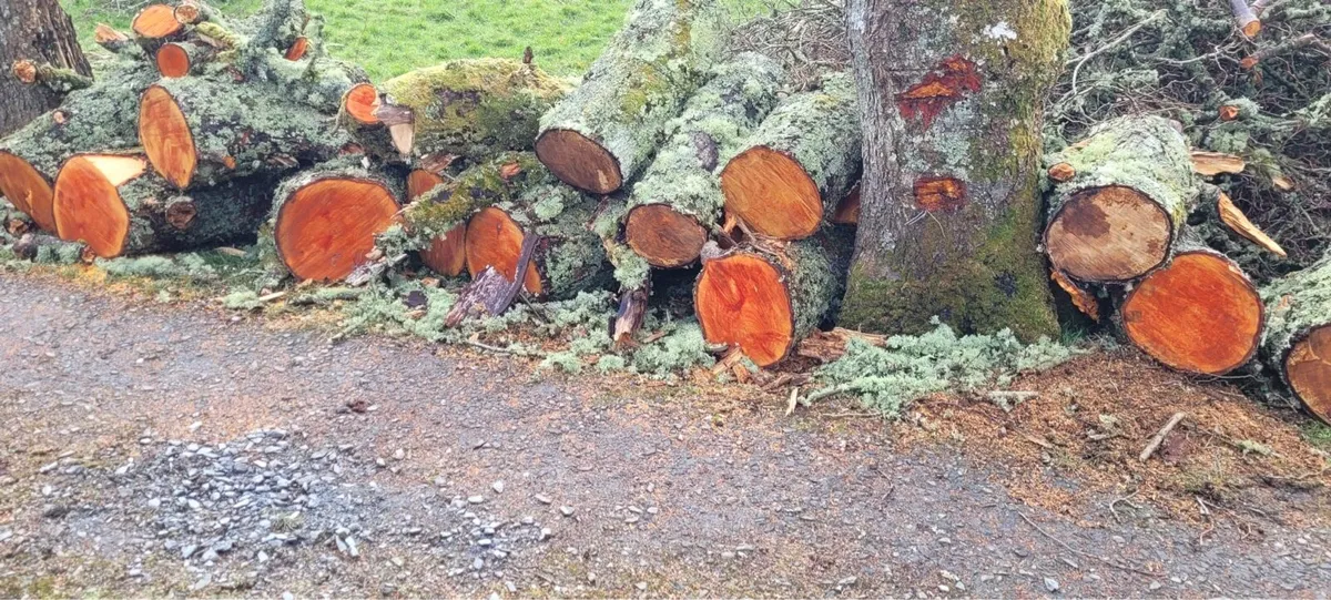 Firewood hardwood