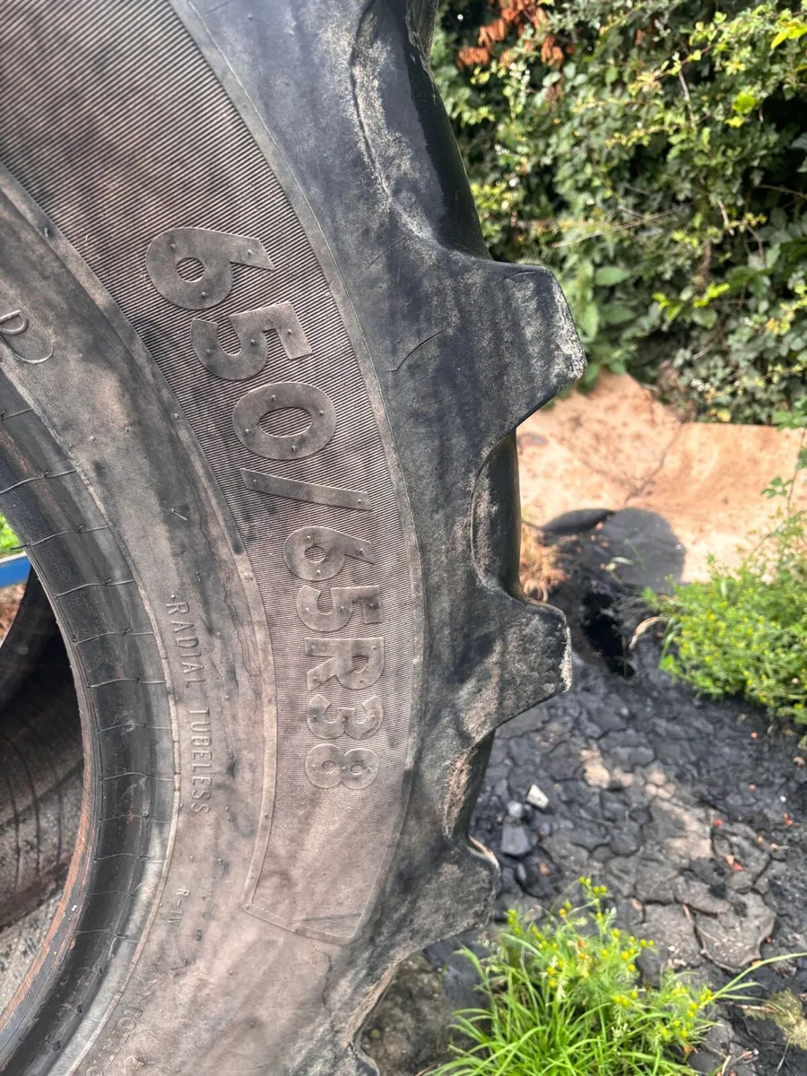 Ceat 650/65R38 - Image 1