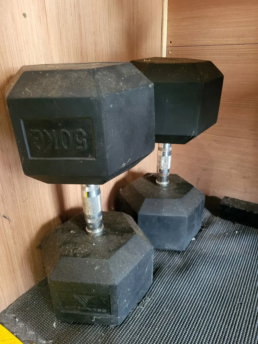 Dumbbells , bars, weights, benches - Image 1