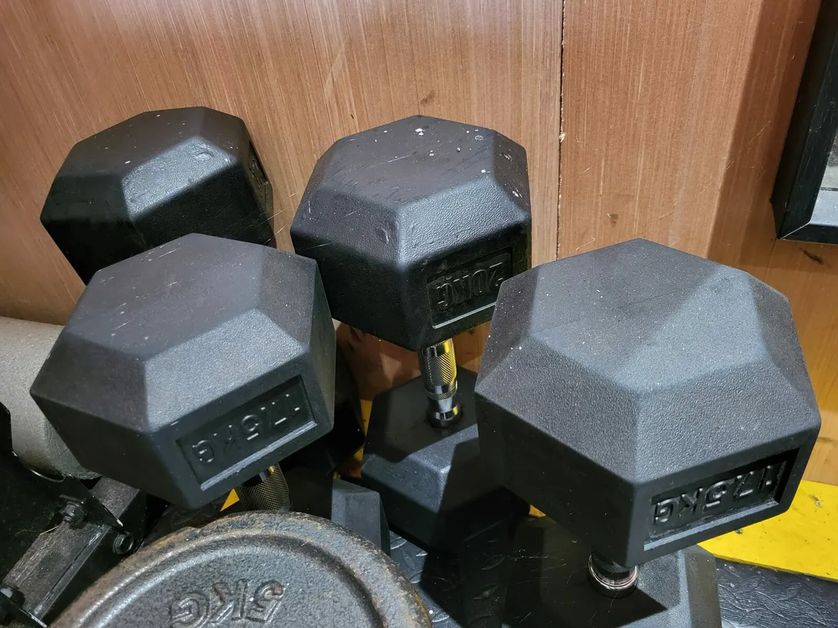 Dumbbells , bars, weights, benches - Image 3