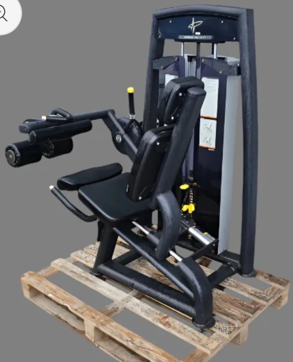 Pulse seated leg curl - Image 4