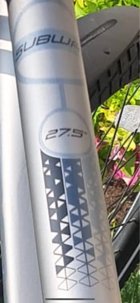 Carera e bike - Image 3